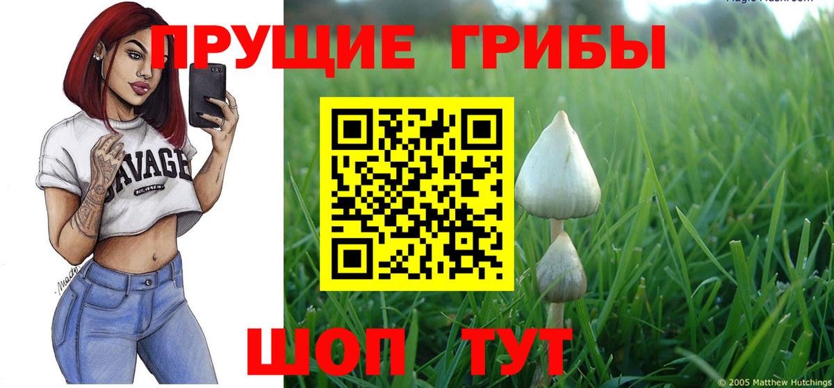 Псилоцибиновые грибы мухоморы  Псилоцибиновые грибы GOLDEN TEACHER  Учалы  Вход с VPN 